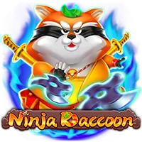 Ninja Raccoon